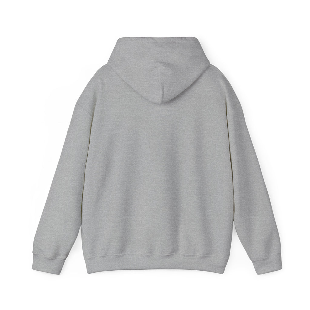 Region Bears Hoodie — Vintage Team Logo Hooded Sweatshirt