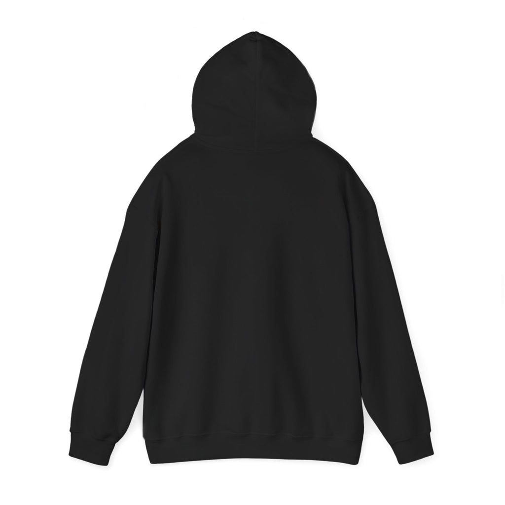 North Carolina License Plate Hoodie - 'MJ2 345' Vintage State Plate Design