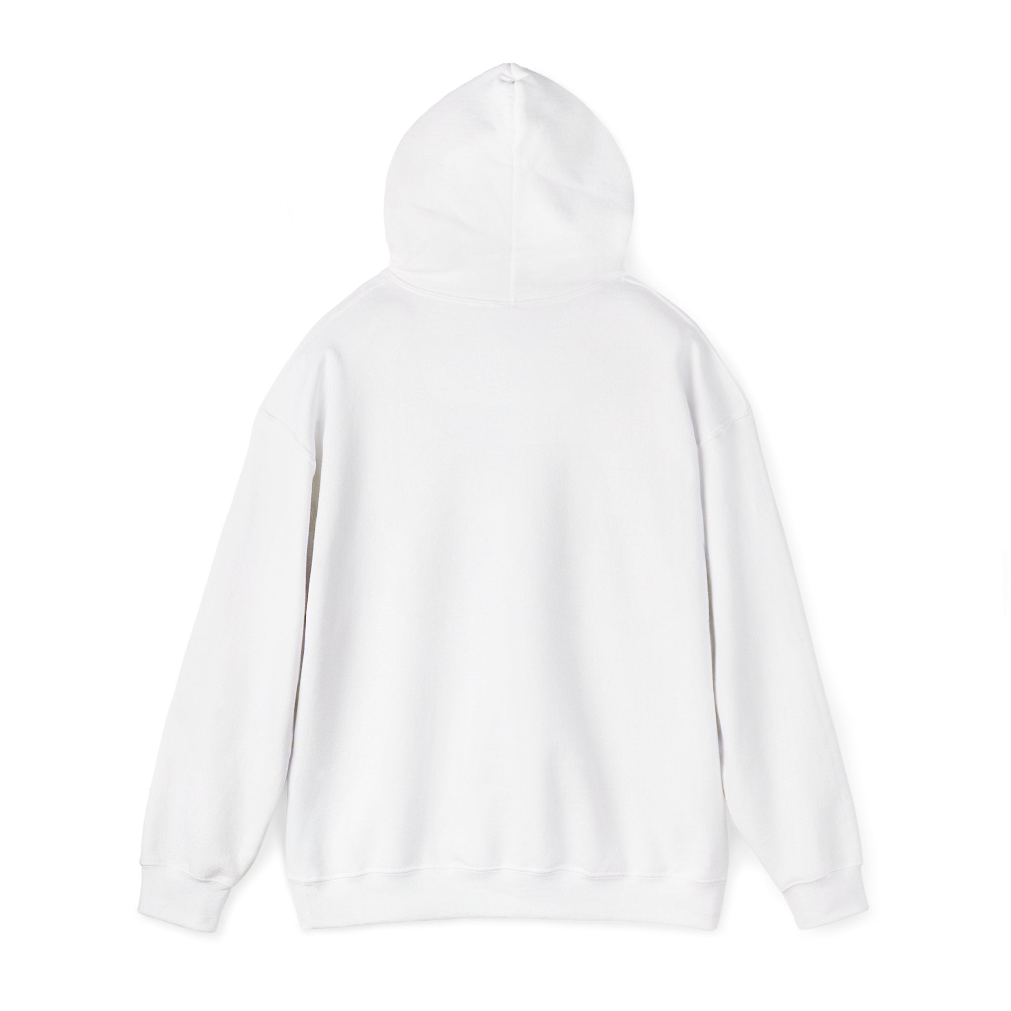 Region Bears Hoodie — Vintage Team Logo Hooded Sweatshirt