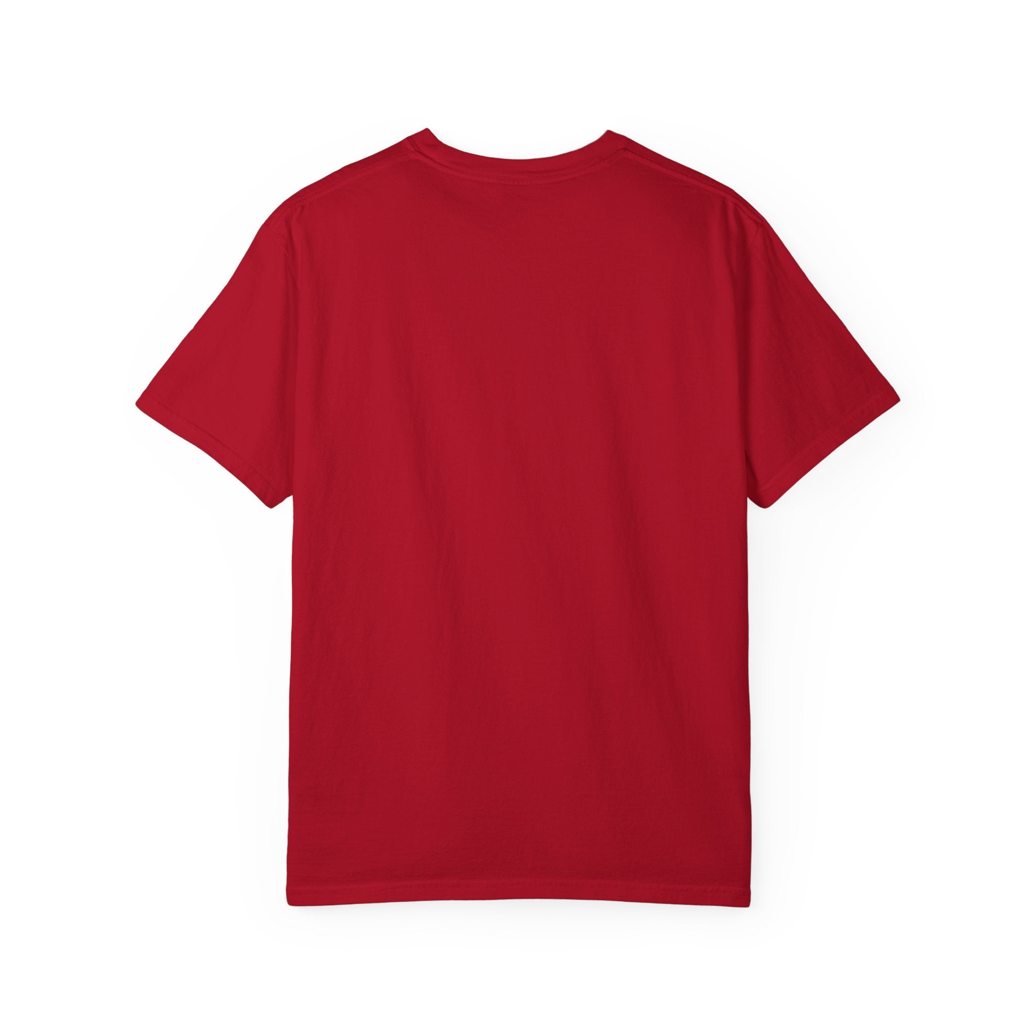 MJ2 345 North Carolina License Plate T-Shirt — Vintage Basketball Plate Tee
