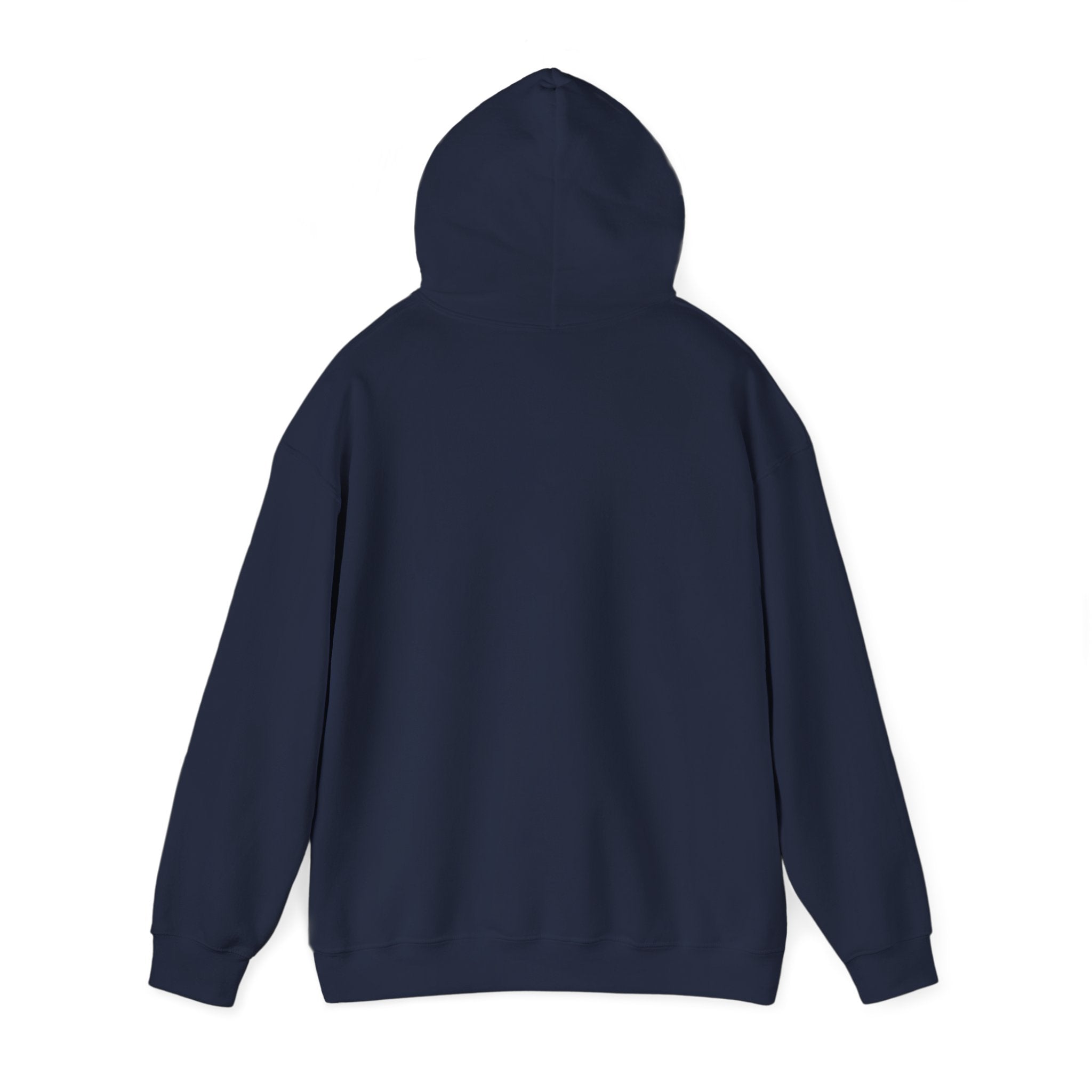 North Carolina License Plate Hoodie - 'MJ2 345' Vintage State Plate Design