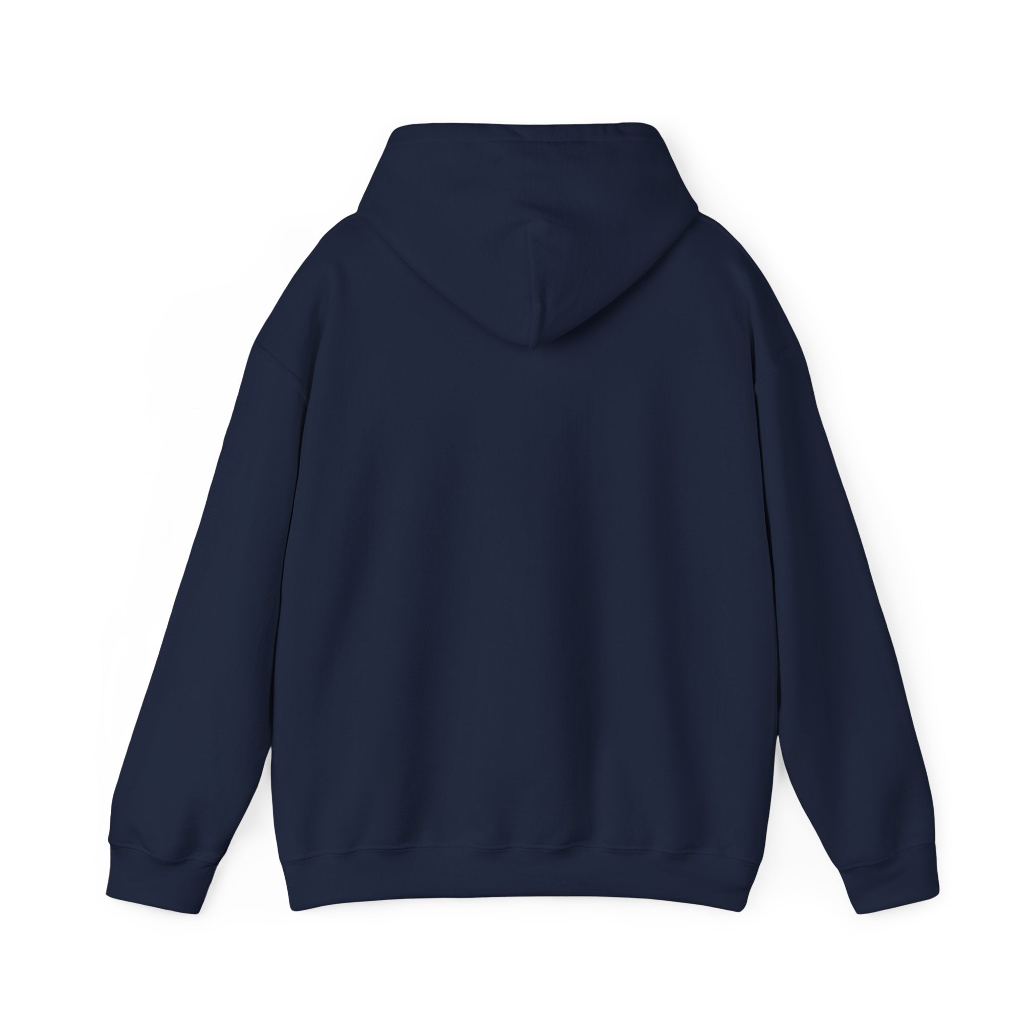 North Carolina License Plate Hoodie - 'MJ2 345' Vintage State Plate Design