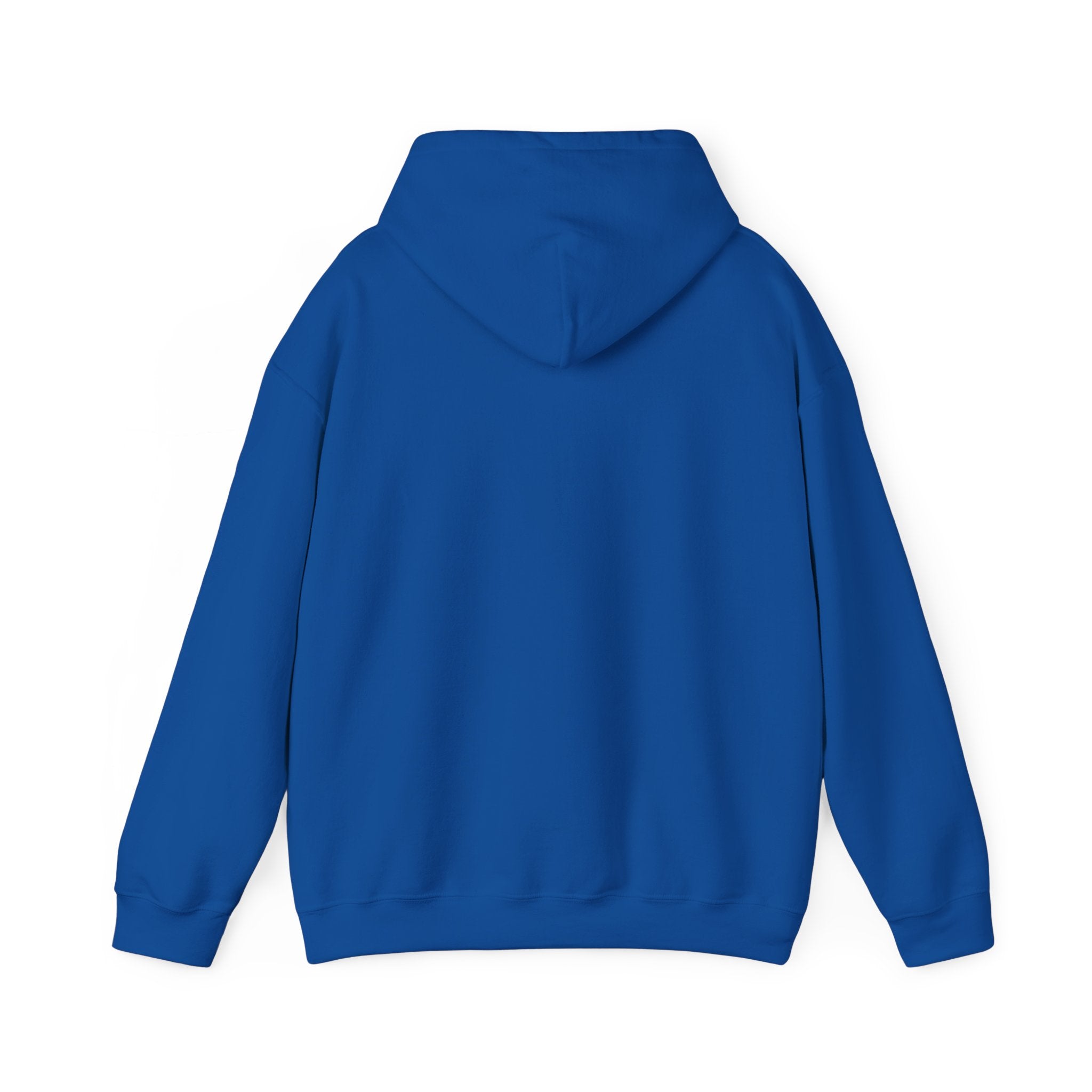 North Carolina License Plate Hoodie - 'MJ2 345' Vintage State Plate Design