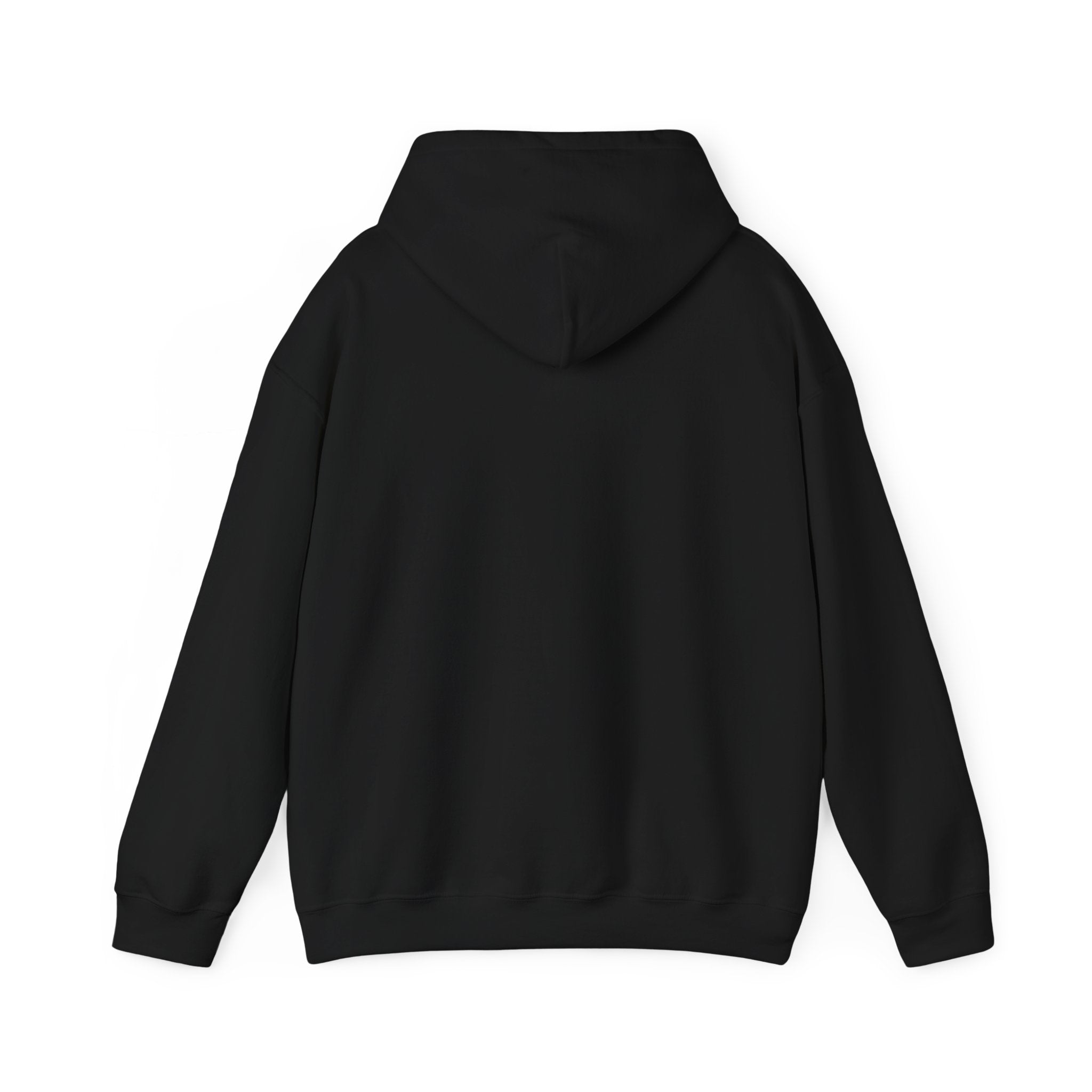Region Bears Hoodie — Vintage Team Logo Hooded Sweatshirt