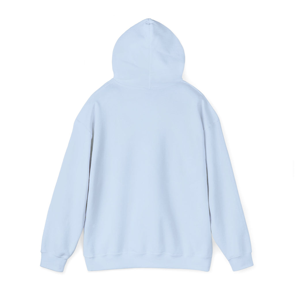 North Carolina License Plate Hoodie - 'MJ2 345' Vintage State Plate Design
