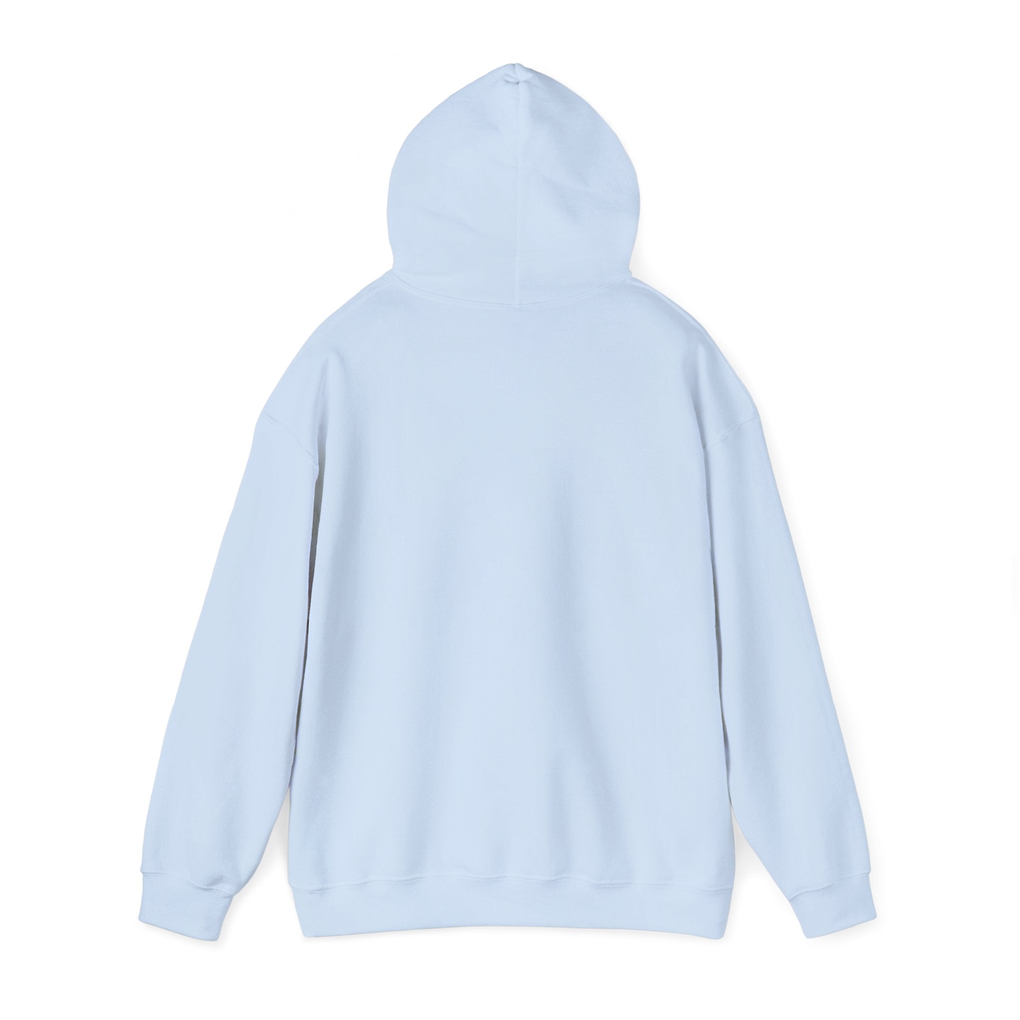 North Carolina License Plate Hoodie - 'MJ2 345' Vintage State Plate Design