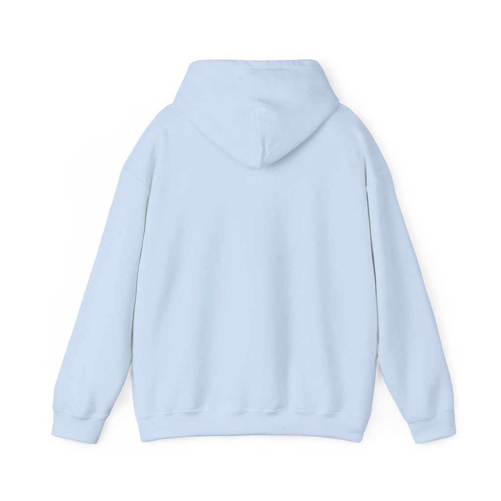 North Carolina License Plate Hoodie - 'MJ2 345' Vintage State Plate Design