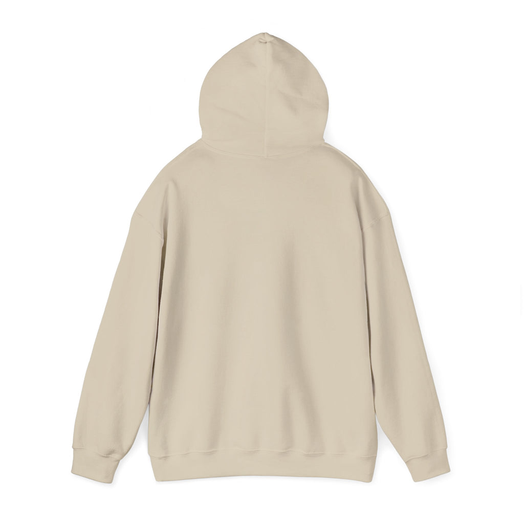 Region Bears Hoodie — Vintage Team Logo Hooded Sweatshirt