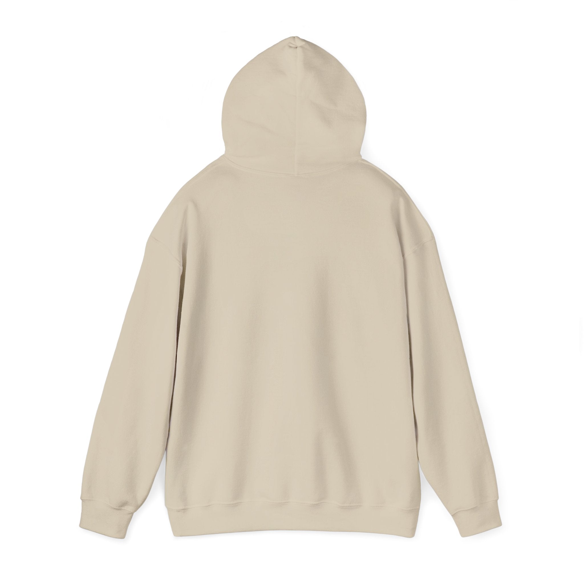Region Bears Hoodie — Vintage Team Logo Hooded Sweatshirt