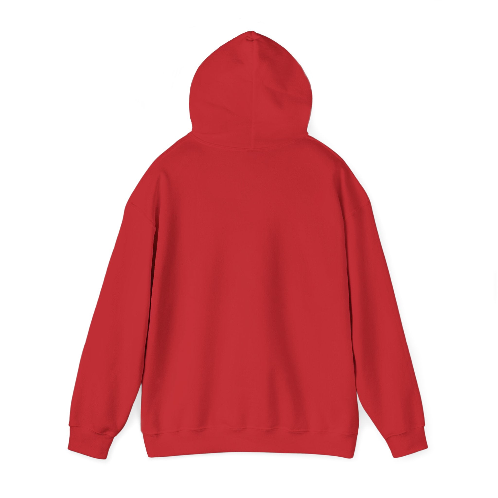 North Carolina License Plate Hoodie - 'MJ2 345' Vintage State Plate Design