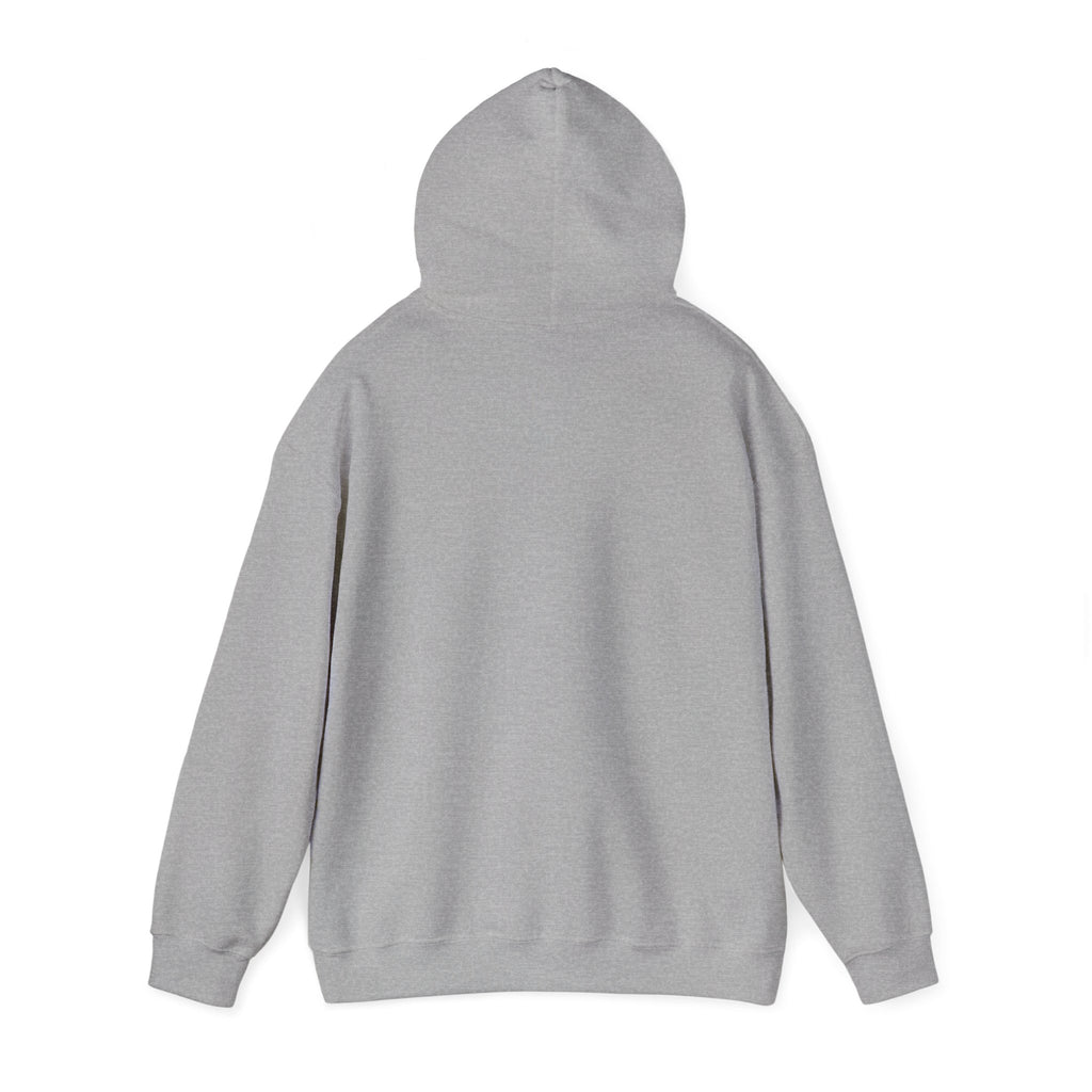 Region Bears Hoodie — Vintage Team Logo Hooded Sweatshirt