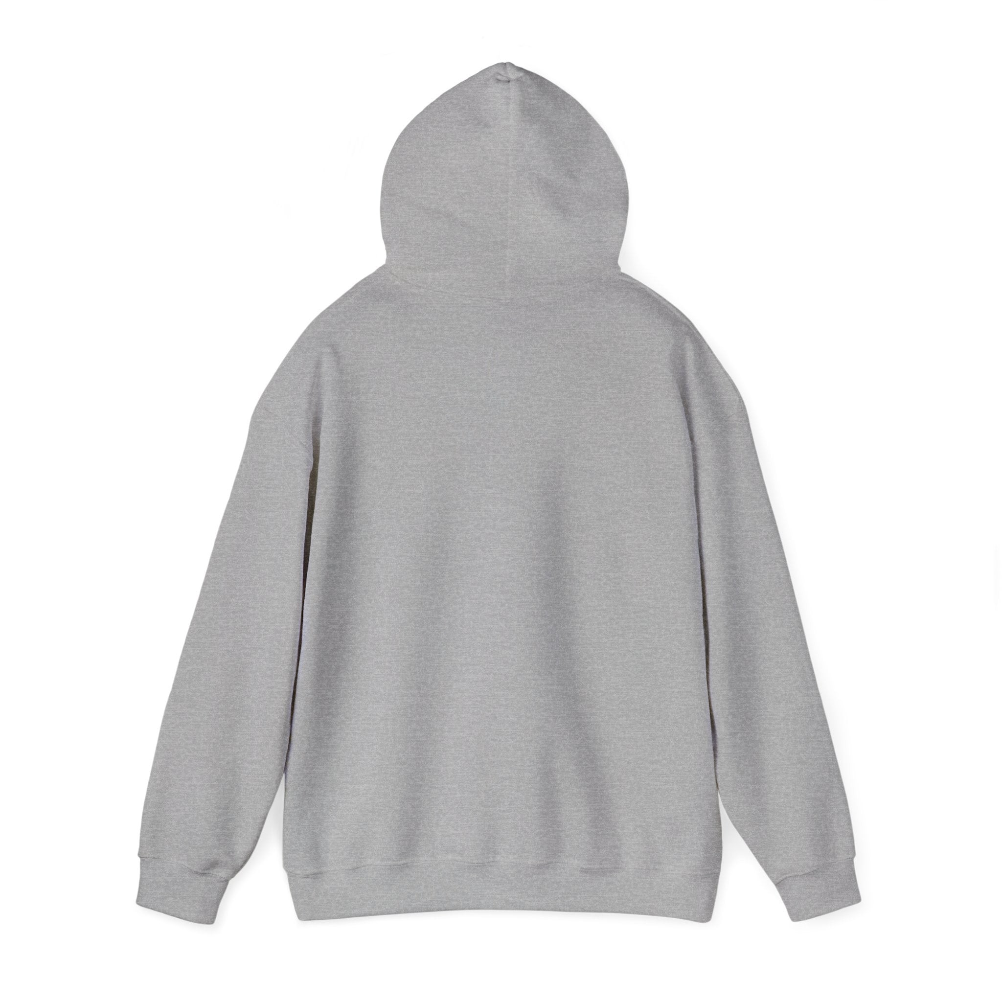 Region Bears Hoodie — Vintage Team Logo Hooded Sweatshirt