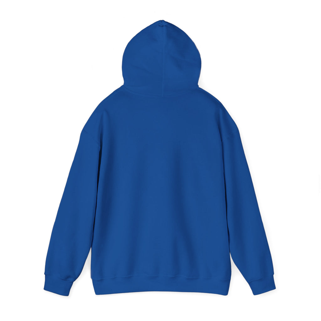 North Carolina License Plate Hoodie - 'MJ2 345' Vintage State Plate Design