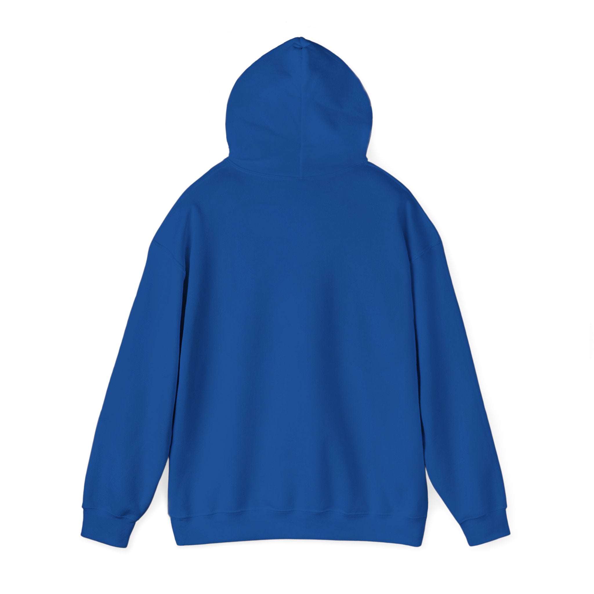 North Carolina License Plate Hoodie - 'MJ2 345' Vintage State Plate Design